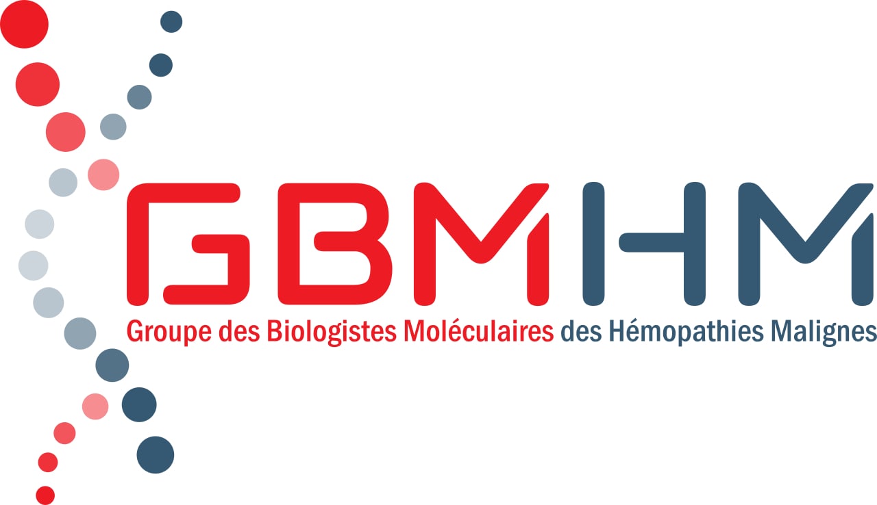 GBMHM
